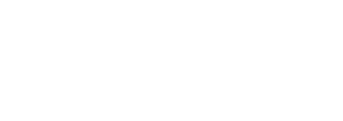 Full Logo White